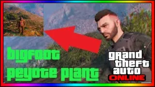 GTA Online: How to play as Bigfoot  (Secret peyote plant location)