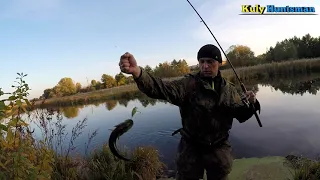 Полювання і риболовля. Осінні трофеї 🎣🦆