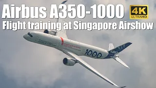 Airbus A350-1000 flight training at Singapore Airshow 2024