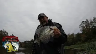 Crappie Fishing the River  Little River Lake Talquin FLA