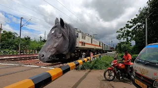 Extreme Aggressive MAD Horse Head Jammu Tawi Express Dangerous Stormy Skipping Throughout Railgate