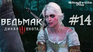 По следам Цири — The Witcher 3: Wild Hunt Прохождение игры #14