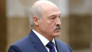 Лукашенко лишил дипломатического ранга послов, поддержавших протесты.