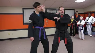 Martial Arts Power Mechanics- 4 Basic Body Actions (2015 Class)