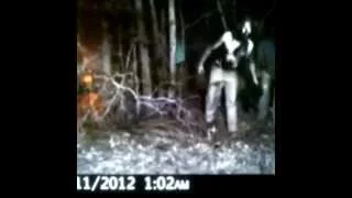 Real Creepy and unexplainable Trail cam photos