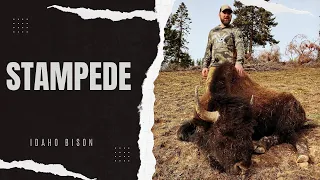 Bison Hunt Idaho