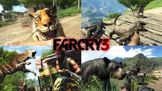 Far Cry 3 - Все анимации нападения зверей