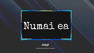 FDM official-numai ea (cover în română și versuri)