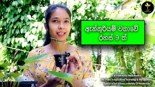 9 Anthurium Plant Care Tips / ගෙදර ඉදන් සල්ලි හොයන්න ඇන්තූරියම් / sri lanka 2022 / clear explanation