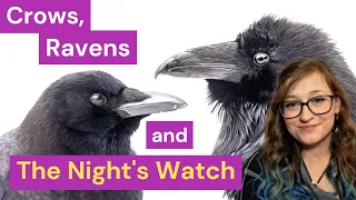 Crows, Ravens and The Night's Watch