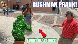 BUSHMAN - 🤣 HILARIOUS REACTIONS 🤣