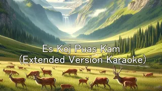 Es Koj Puas Kam extended Karaoke