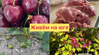 Купили дом🏡2️⃣0️⃣4️⃣Цены на продукты ✅Первая черешня на юге ✅Удобряю клубнику ✅Время бежит😅