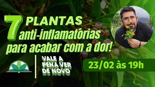 Vale a Pena Ver de Novo : 7 Plantas Anti-inflamatórias para acabar com a dor!