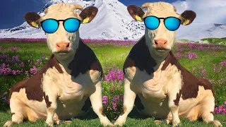 FUNNY COW DANCE 5 │ Cow Song & Cow Videos 2024 Crazy Amazing Animals