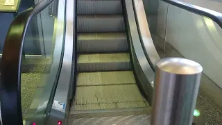 Sweden, Stockholm, Nynäshamn, Polferries Ferry Terminal, 2X escalator