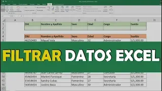 Curso Excel - Filtros avanzados y dinámicos 2020