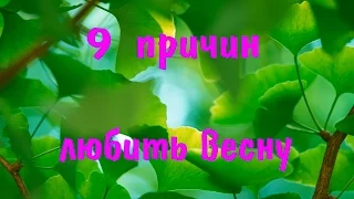 LPS: 9 причин любить весну[ТОП 9]