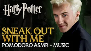 STUDY SESSION: Night Adventures with Draco Malfoy 😏🌙 | Harry Potter Hogwarts Pomodoro ASMR Timer