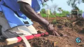 южный судан: избавляясь от мин