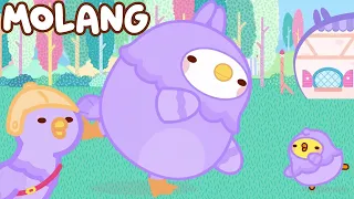 Molang 🐹 GÜVERCİN 🕊 Çocuklar İçin Çizgi Filmler ✨ Super Toons TV Animasyon