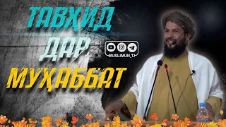 Тавҳид дар муҳаббат | Устод Абу Мустафо Дарвешзода (Раҳимаҳуллоҳ)