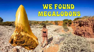 Ep. 19 SEARCHING FOR MEGALODONS AT NINGALOO