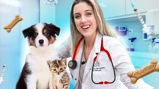 Je deviens vétérinaire pendant 24h (c'était intense!) | DENYZEE