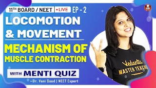 Locomotion & Movement EP-2 | Mechanism of Muscle Contraction | Class 11 | Biology Lectures | Vedantu