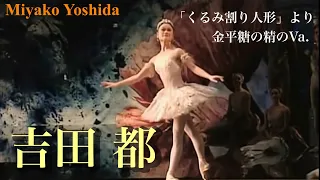 【吉田 都】日本が誇るスーパープリマによる金平糖の精のVa.を解説。#ballet #バレエ #royalballet