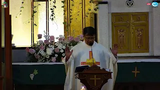 Misa Harian Senin, 21 Agustus 2023 pk. 05.30 WIB - PW Santo Pius X, Paus