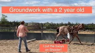 Ground Work with a 2 year old horse/ I put the buoys on Shooter!