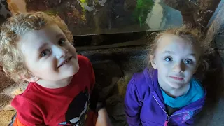 Our Trip to an Aquarium part 3