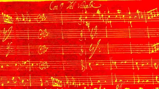 Con: Del Vivaldi / RV 331 in G minor {Autograph score}