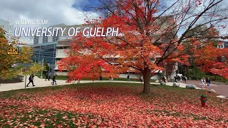 💖Autumn Walking in the University of Guelph|Canada 4K