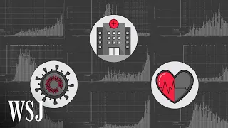 How to Make Sense of Coronavirus Data | WSJ