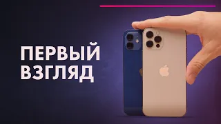 iPhone 12 и iPhone 12 Pro | Отличия 🔥 ЧЕСТНЫЙ обзор + СРАВНЕНИЕ ⚡ Что ИЗМЕНИЛОСЬ?