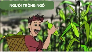 CÂU CHUYỆN NỘI TÂM: NGƯỜI TRỒNG NGÔ #chuyengiatamlytranthithuytrang