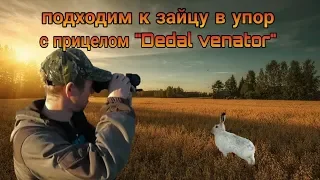 Подходим к зайцу в упор с прицелом "Dedal Venator".