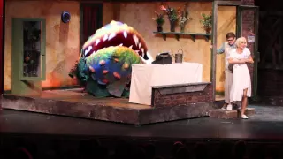 Little Shop of Horrors - Somewhere That's Green (Reprise) - Anabella Oddo