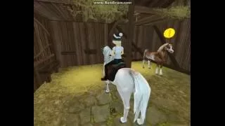 Покупка лошади: французский сель!