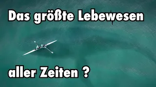 8 wissenschaftliche FAKTEN die deine Weltanschauung ändern werden