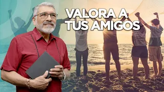 SABIDURIA PARA LA VIDA - Valora a Tus Amigos - Salvador Gómez