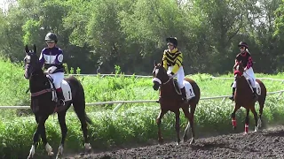 9.05.2017 г. Скачка на "Приз конного завода Биши" (1000 м)