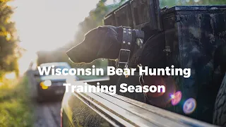 Wisconsin Bear Hunting With Hounds: Training Season