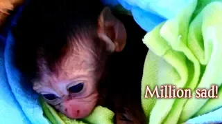 Million sad! Newborn baby Dalton lost mom Dolly forever coz Dolly passed away, RIP DOLLY