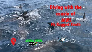 Diving Aliwal Shoal | Shark Diving..NOT | Aliwal Dive Centre & Lodge