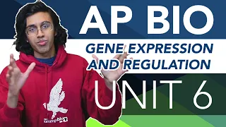 AP Biology Unit 6 Crash Course: Gene Expression and Regulation