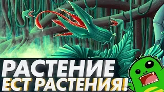 Растение которое ЕСТ РАСТЕНИЯ!