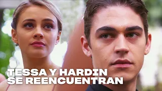 Tessa y Hardin se reencuentran en la boda | After: Aquí Acaba Todo